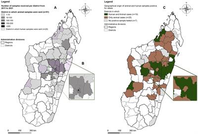 Rabies surveillance in Madagascar from 2011 to 2021: can we reach the target?